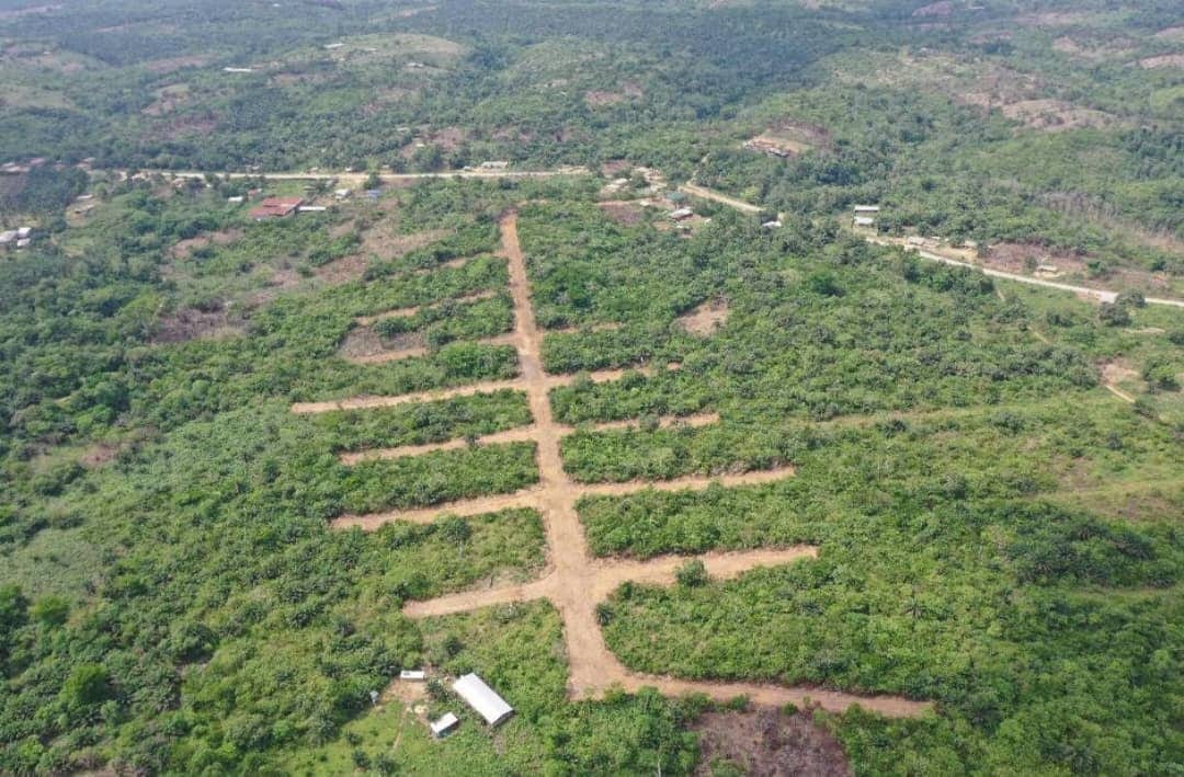 Nouveau projet de lotissement lancé à Douala — 50 parcelles disponibles